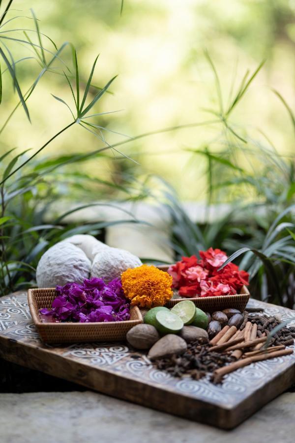 Vije Boutique Resort & Spa Ubud  Exterior photo